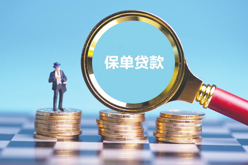 东莞6小额贷款申请与利率解析：让借款更轻松。